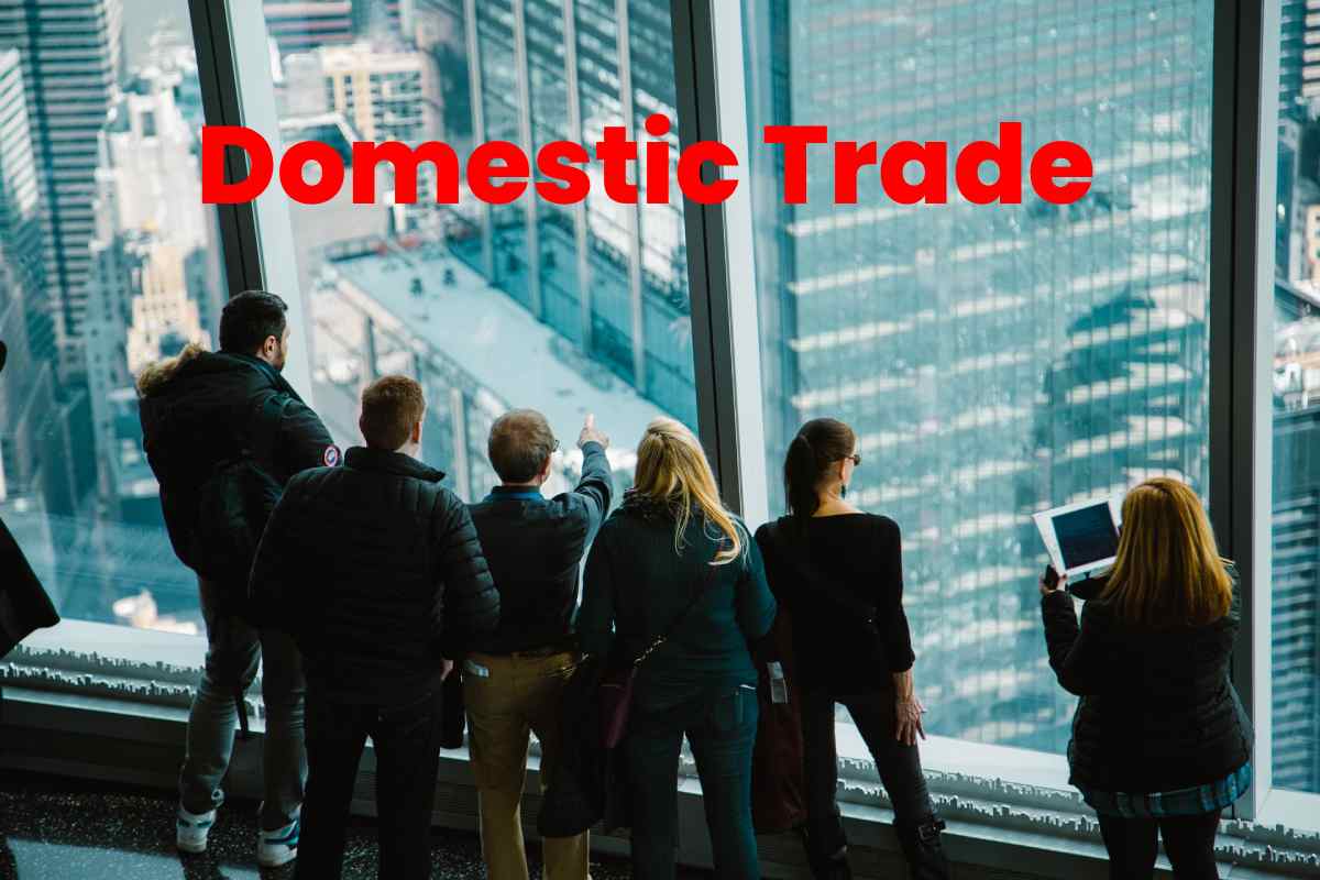 Domestic Trade About Types Differences And More 2022